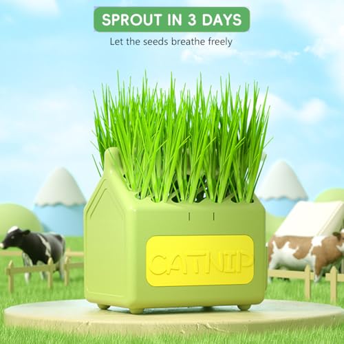 Qpets® Cat Grass Planting Box Catnip Growing House Cartoon Pot Plastic Home Décor Element Not Contain Grass 12x9x12CM 2PCS Qpets® Cat Grass Planting Box Catnip Growing House Cartoon Pot Plastic Home Décor Element Not Contain Grass 12x9x12CM 2PCS